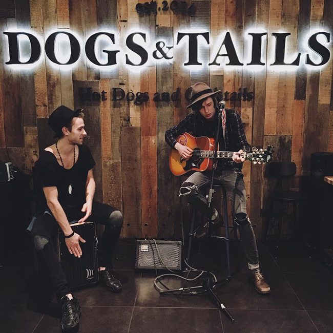 Dogs & Tails