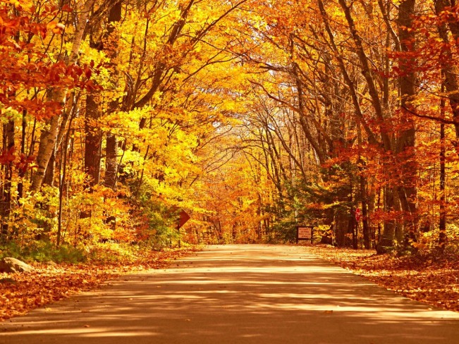 Где самая красивая осень на Земле: топ 10 мест