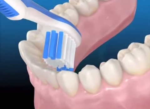 Гигиена полости рта: как подобрать зубную щетку и правильно чистить зубы