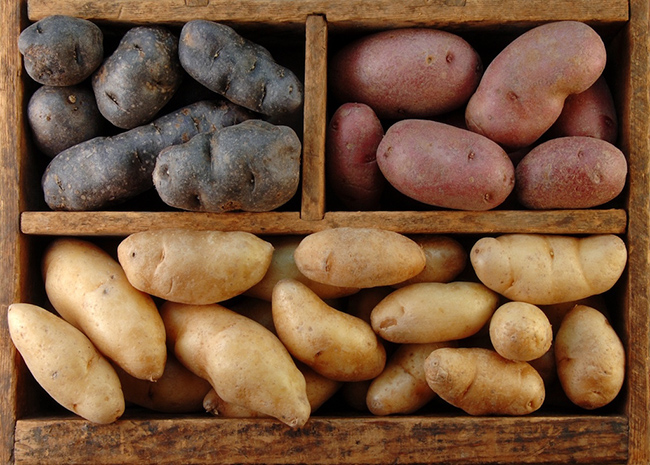 Секреты приготовления вкусной, жареной картошки 