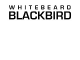 Whitebeard Blackbird