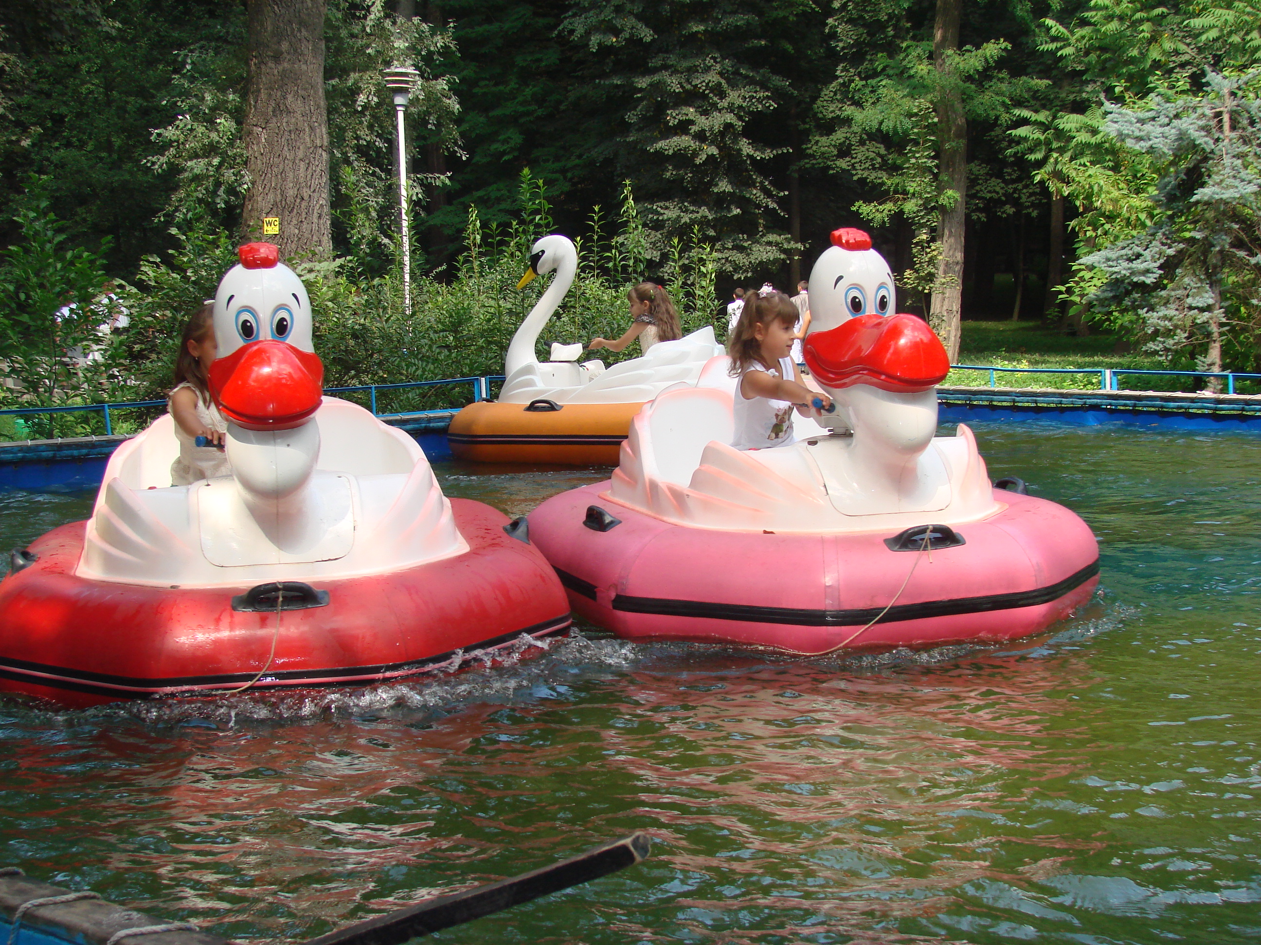 Центральный парк культуры и отдыха им.Т.Г.Шевченко