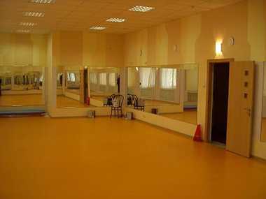 OpenDance