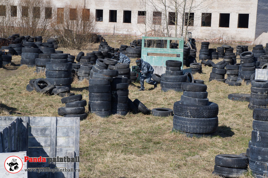 Panda paintball