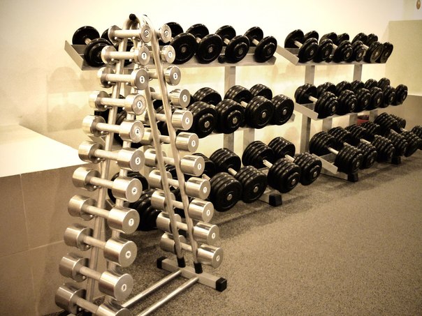 Fit Life