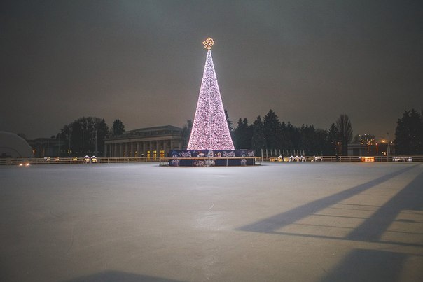 Зимова країна