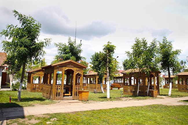 Рута