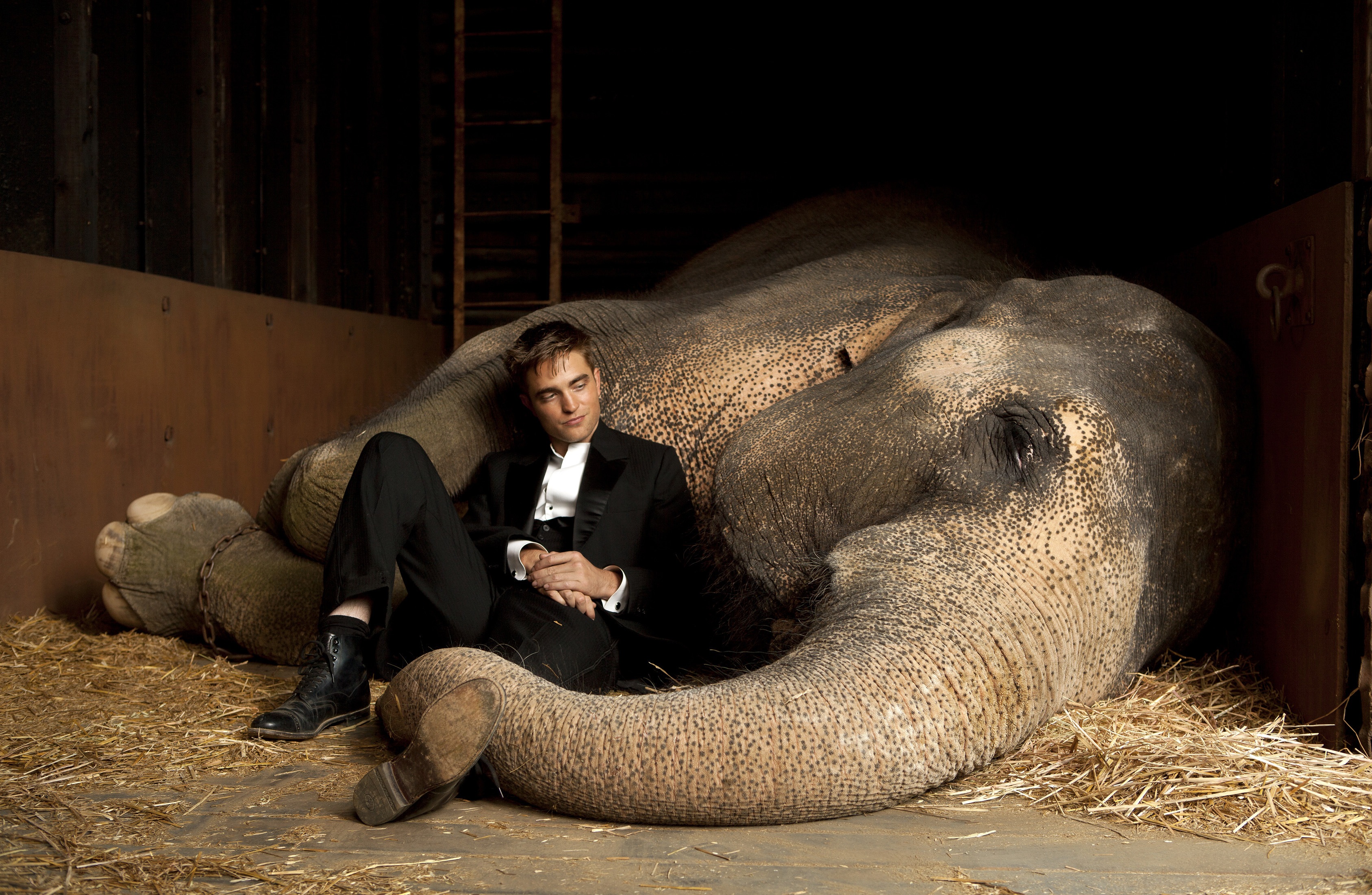 Роберт Паттинсон