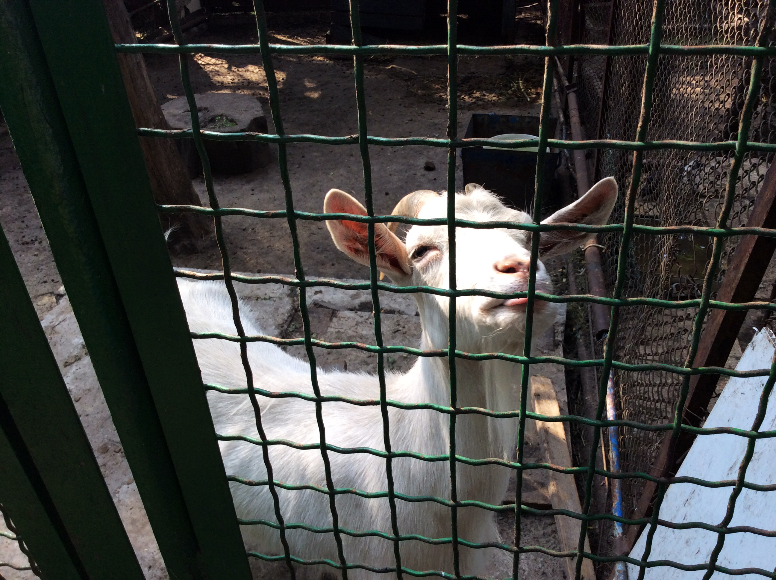 Днепропетровский Зоопарк