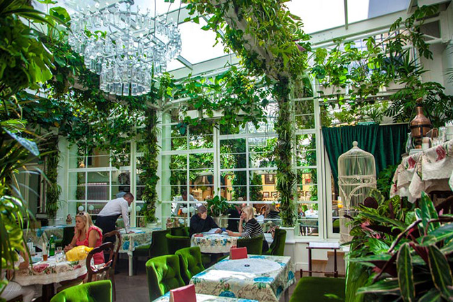 Ресторация Бачевських