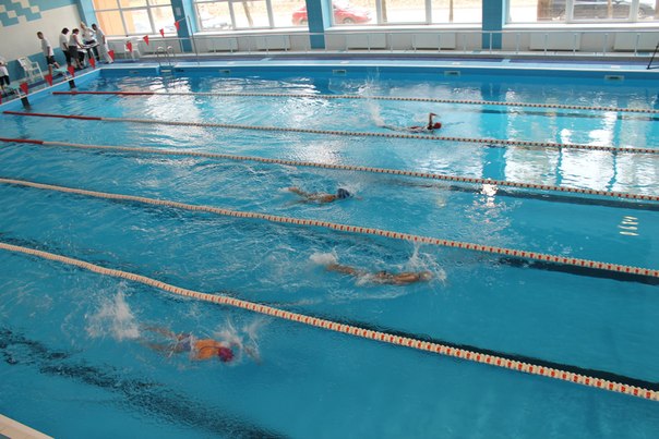 Академия спорта