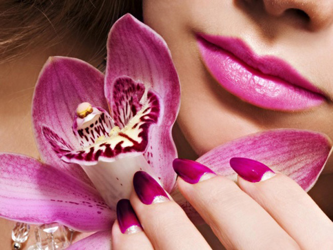 Orchid