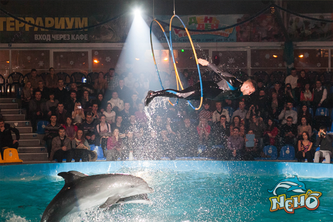 Дельфинарий "Немо"