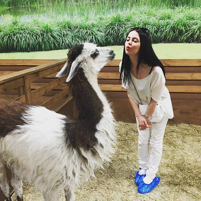 Страна ЕНОТиЯ Страна ЕНОТиЯ