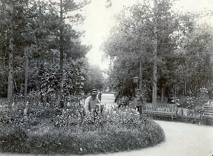 Центральный парк им. М. Горького