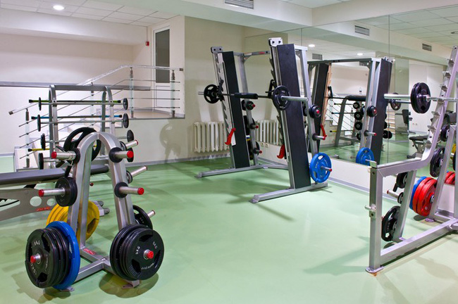 Zebra sport