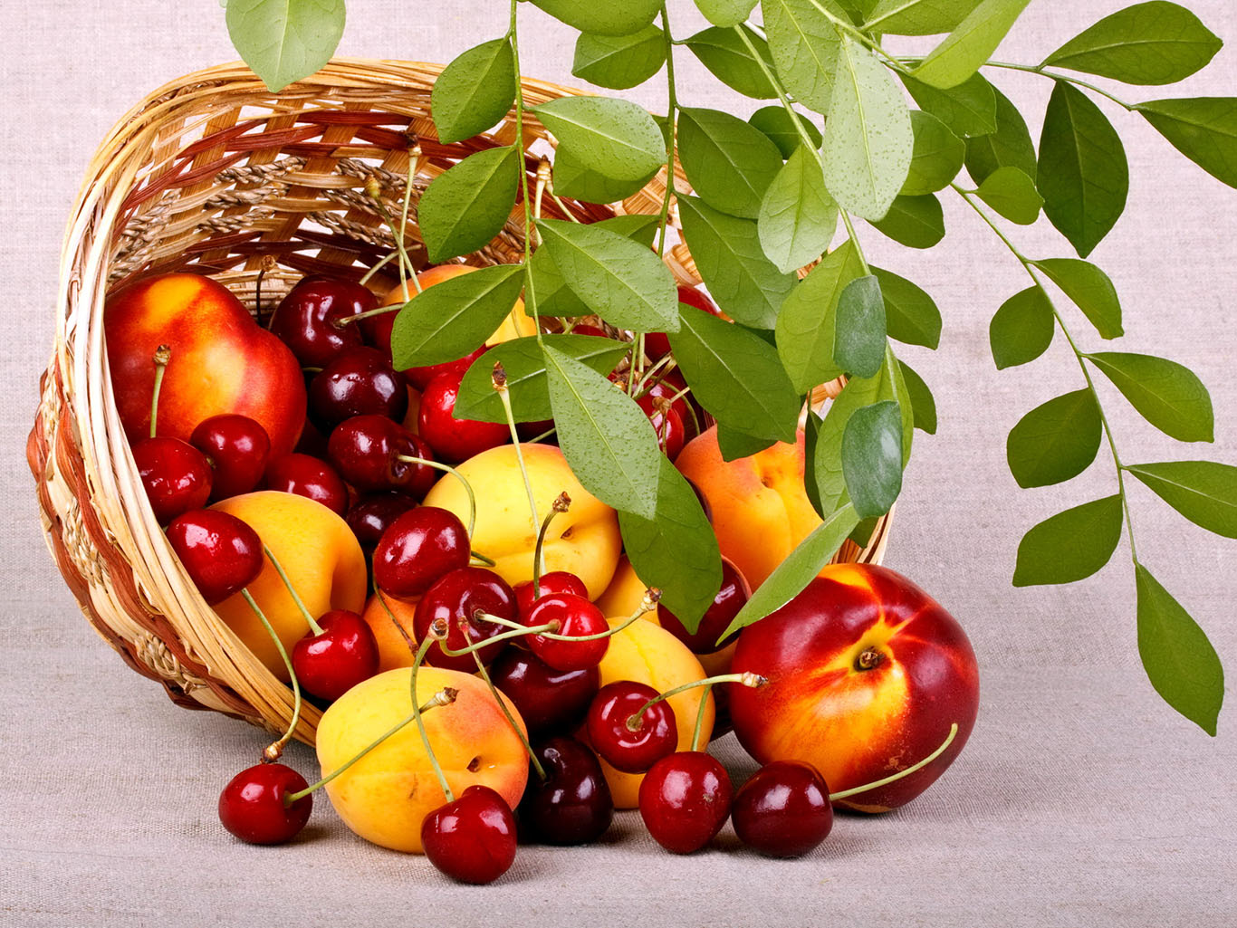 Эти продукты спасут от жары