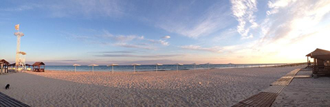 Oasis Beach Club