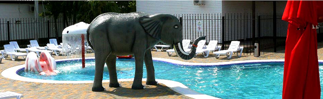 Аквапарк Орбита