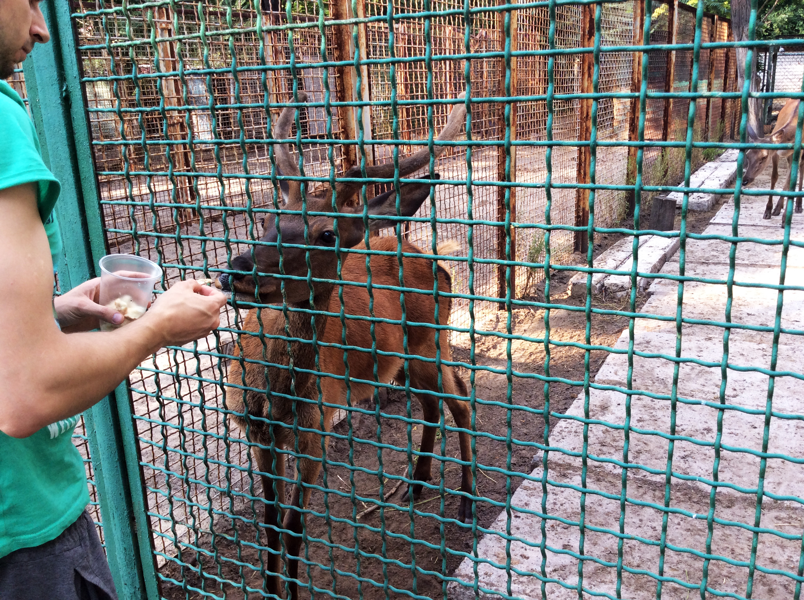 Днепропетровский Зоопарк