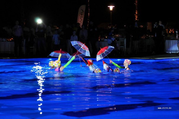 Shekera Circus