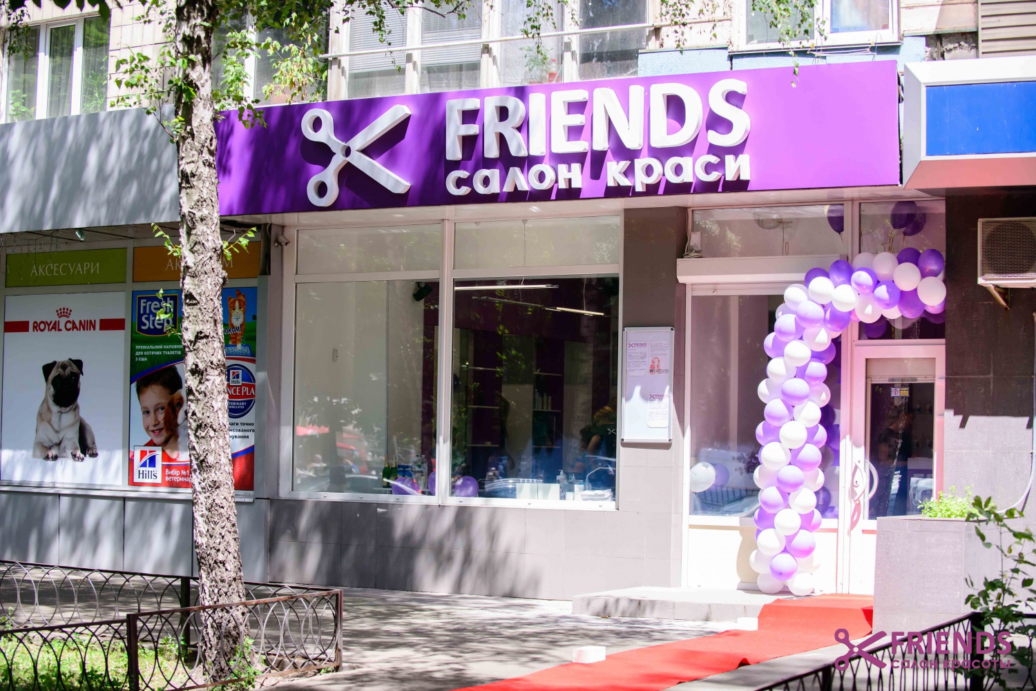 Friends