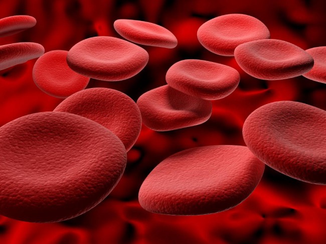 Какие болезни могут скрываться за низким уровнем гемоглобина