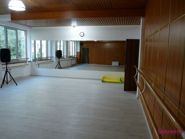 Белая пантера