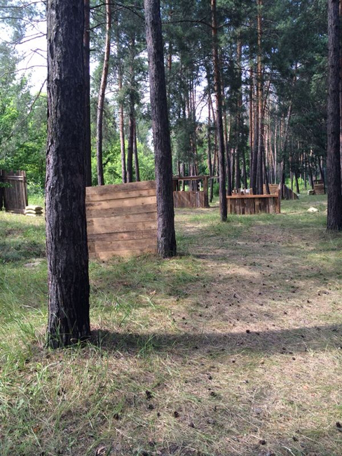 Медведи