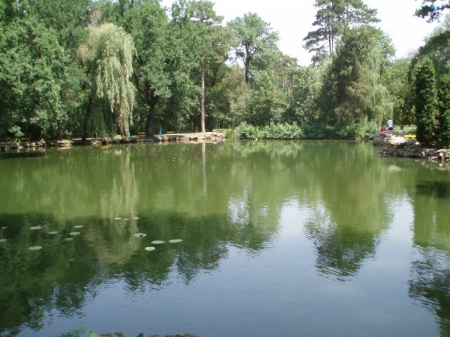 Черноморец