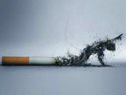 Преодоление никотиновой зависимости
