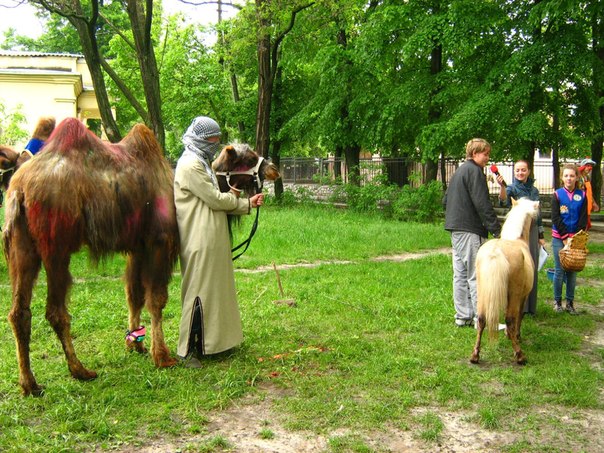 Харьковский Зоопарк