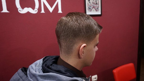 Wolf the BARBER