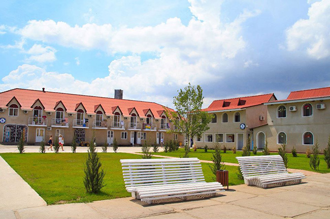 Рута