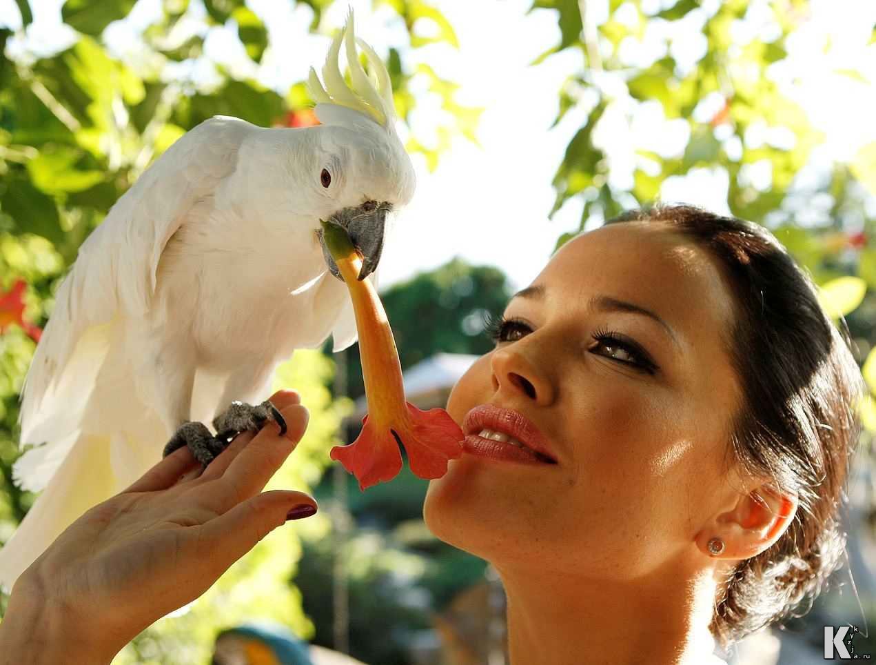 Даша Астафьева