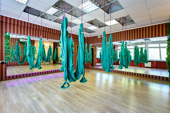 Fly Studio 