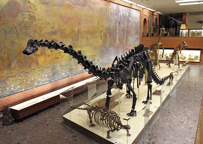 Палеонтологический музей имени Ю.А.Орлова