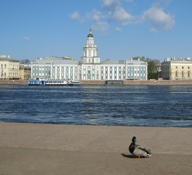 Кунскамера