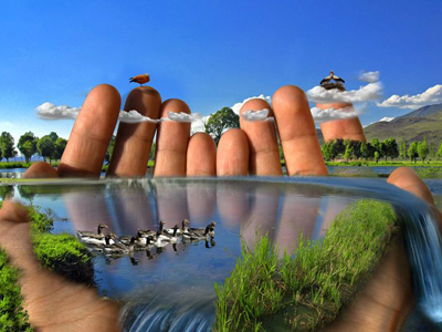 Несколько простых способов помочь Планете