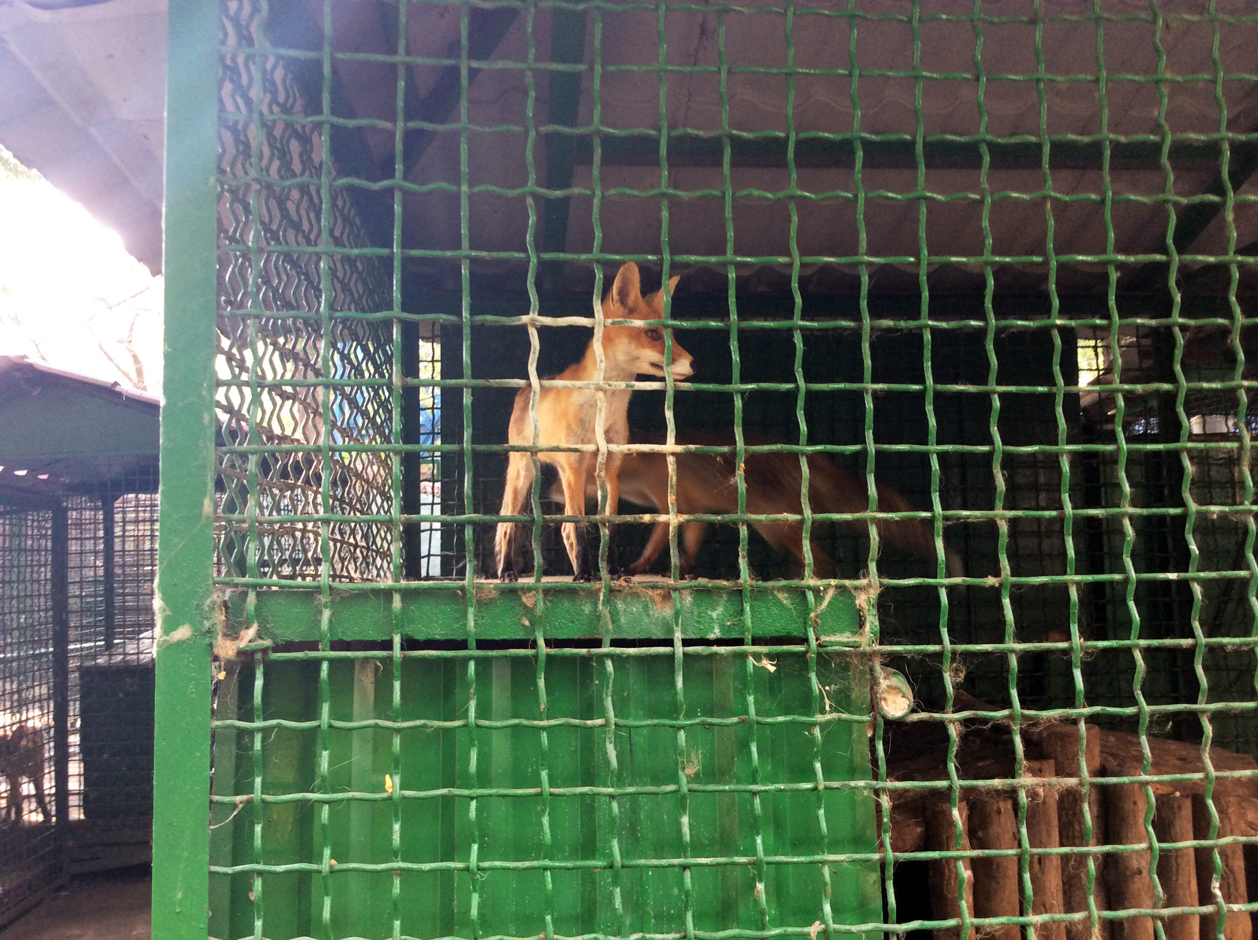 Днепропетровский Зоопарк