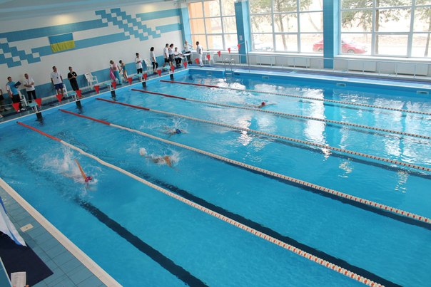 Академия спорта