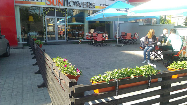 Sunflowers
