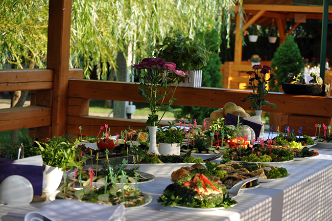 Дельта Днепра