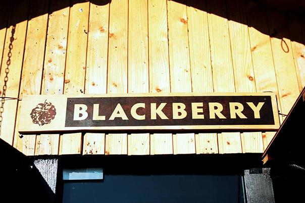 Blackberry bar