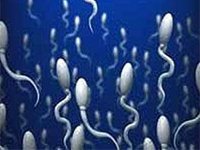 Как победить на гонках сперматозоидов?
