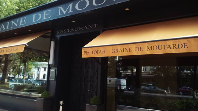 Graine de Moutarde