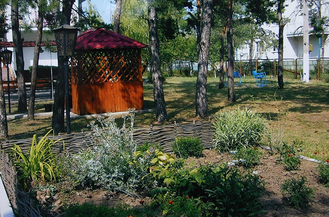 Колос