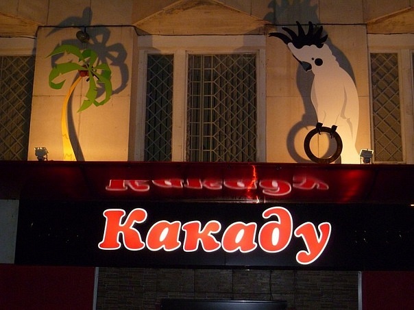 Какаду