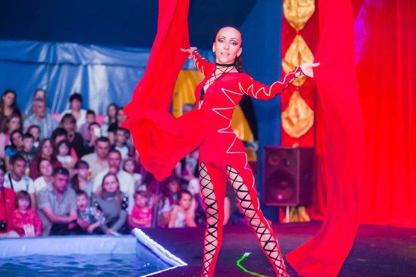 Shekera Circus