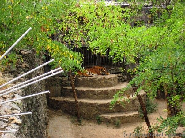 Николаевский зоопарк